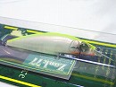 PM Hot shad